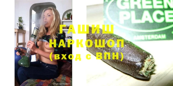 spice Богородицк