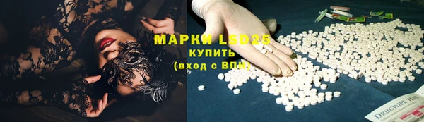 spice Богородицк