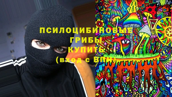 дживик Богданович