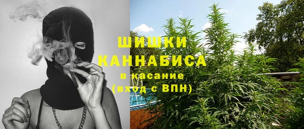 spice Богородицк
