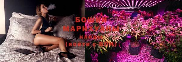 spice Богородицк