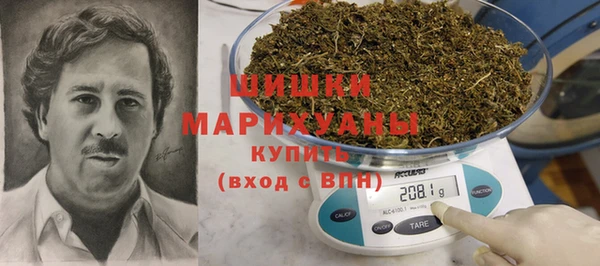 spice Богородицк