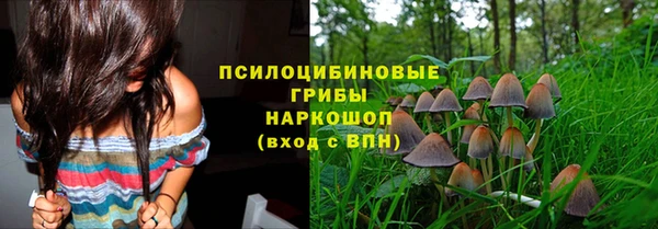 дживик Богданович