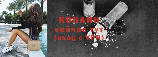 spice Богородицк