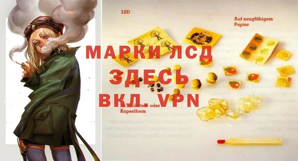 spice Богородицк