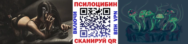 Псилоцибиновые грибы мицелий  нарко площадка официальный сайт  Нижний Тагил 